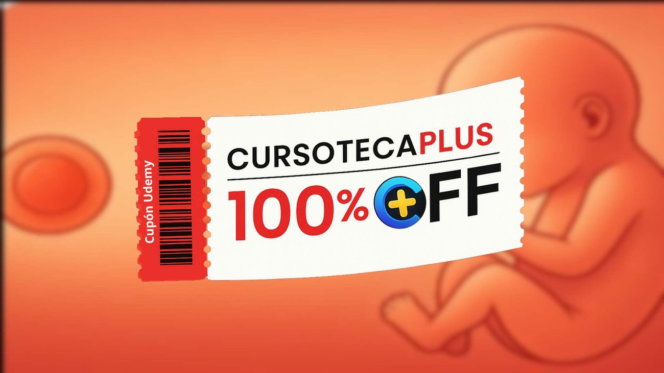 Imagen perteneciente al curso 