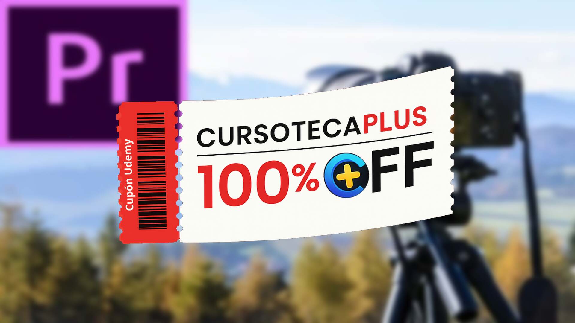 Imagen perteneciente al curso 