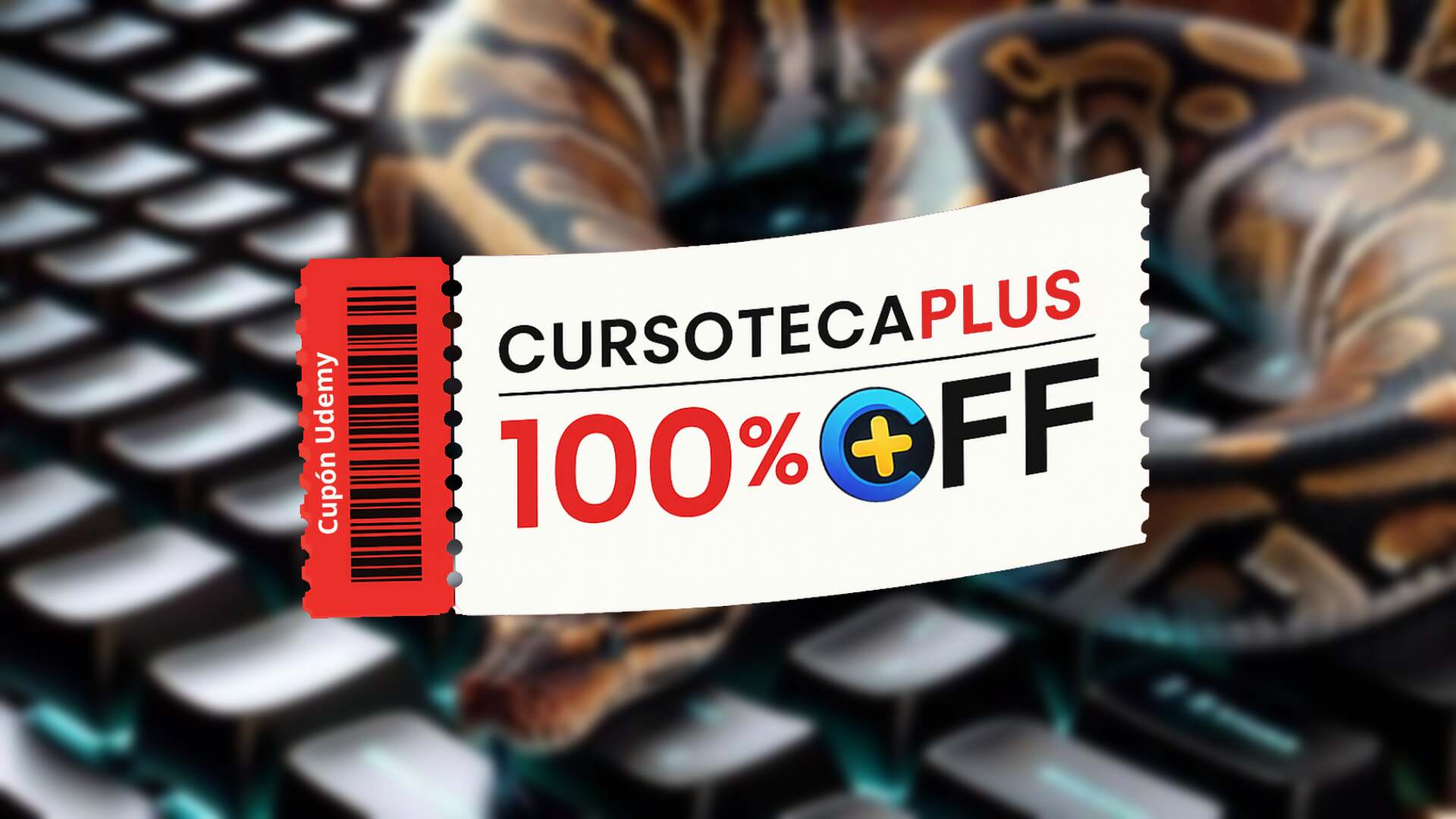 Imagen perteneciente al curso 