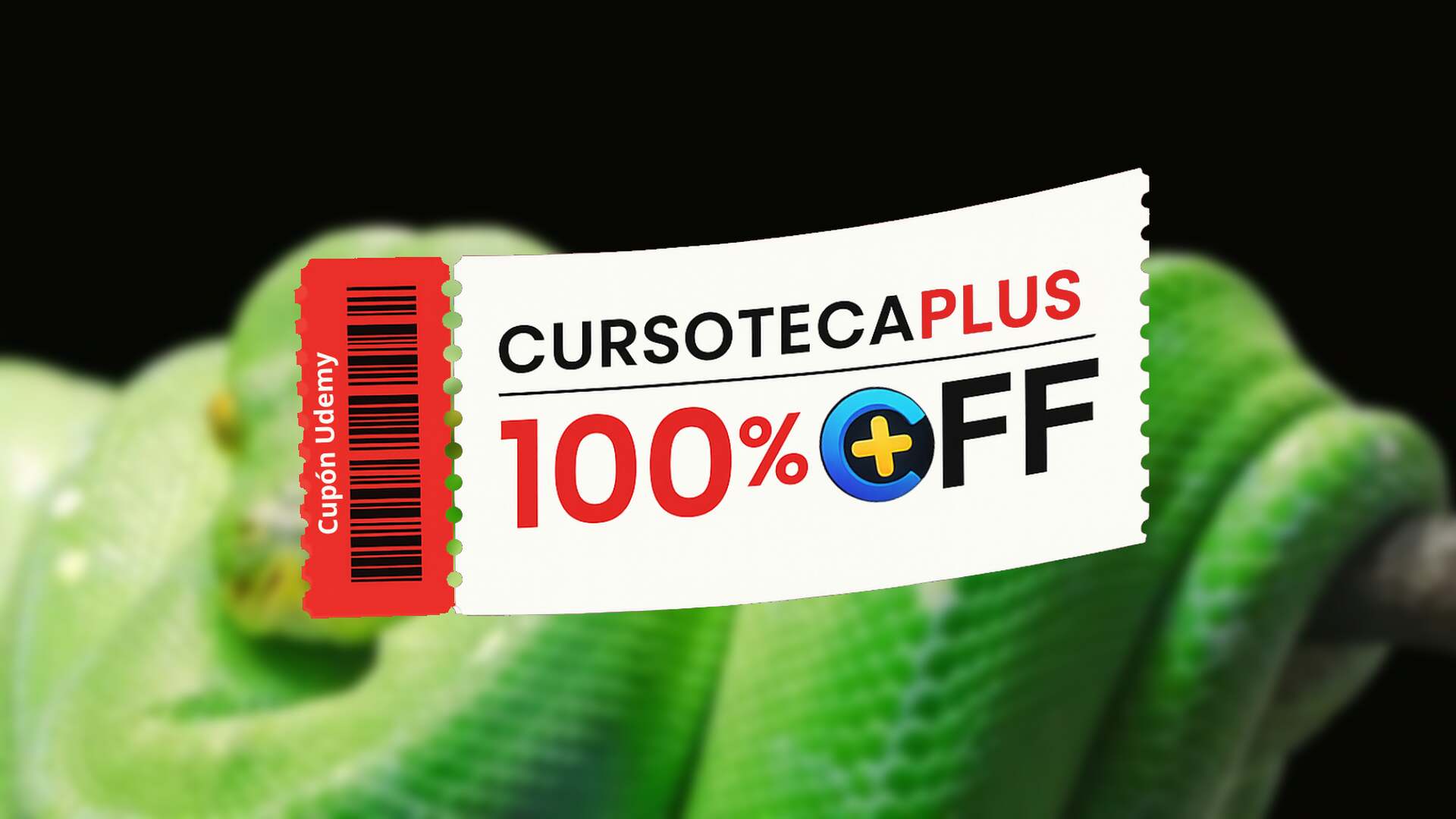 Cupón Udemy | Esenciales para el Desarrollo en Python