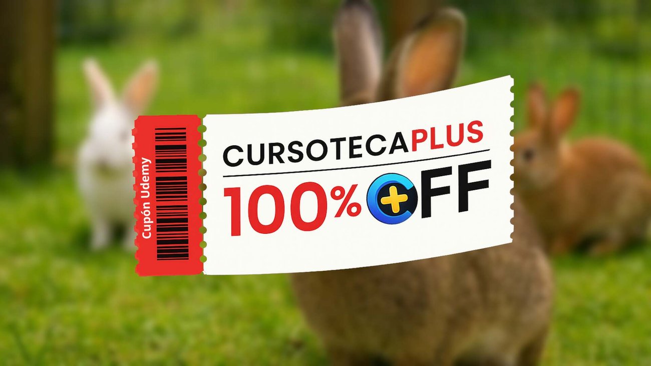 Rabbit Farming Masterclass: From Feeding to Profitable Breed