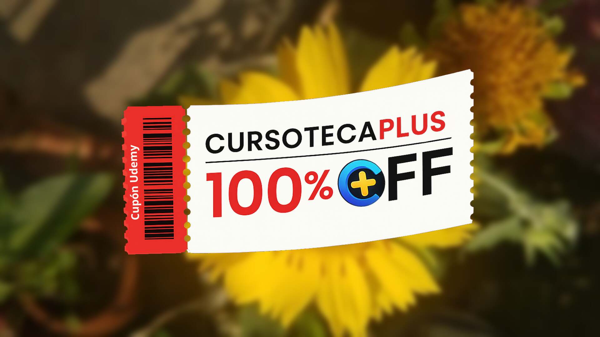 Miniatura entrada anterior